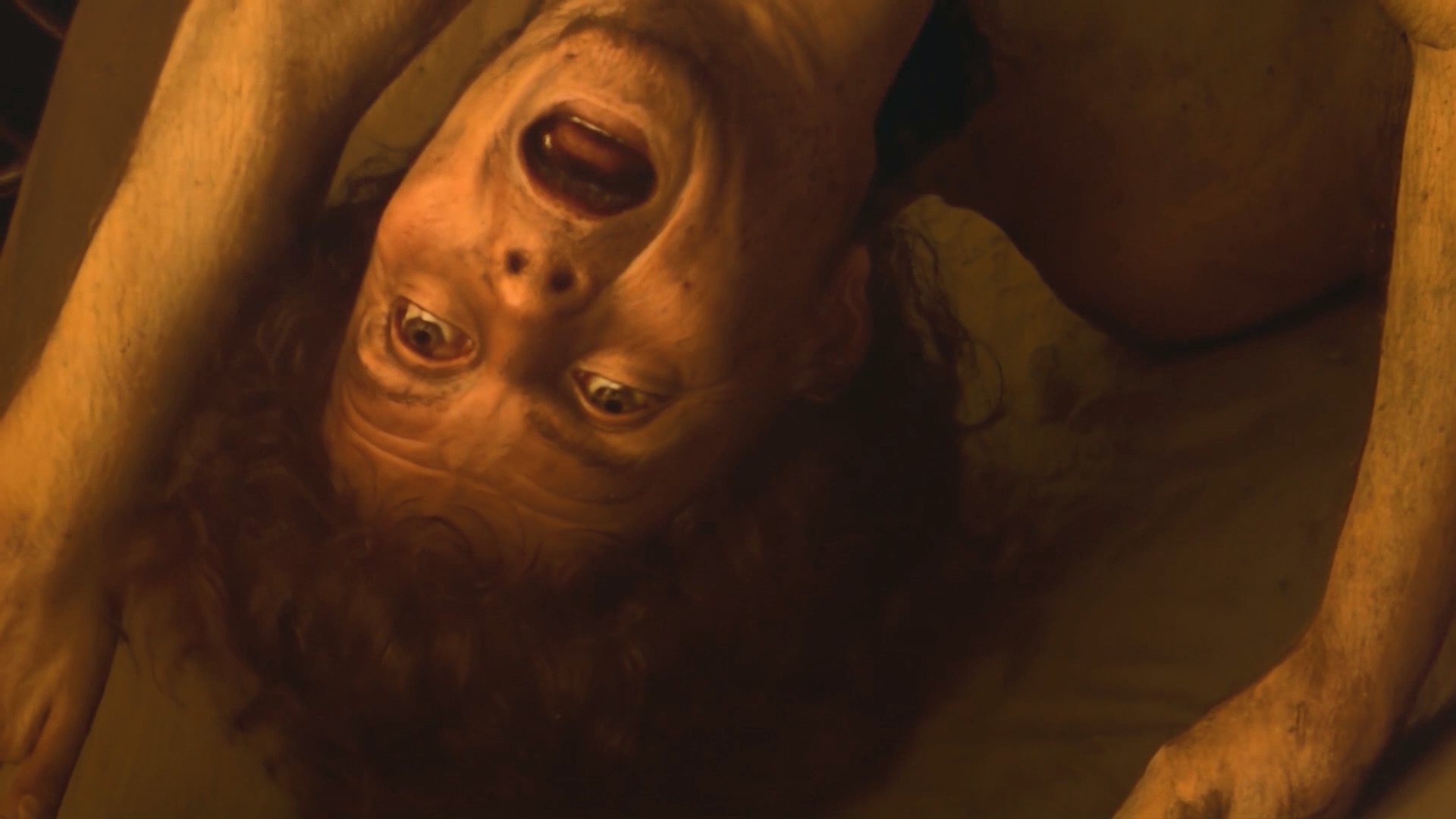 Lech Majewski - Work